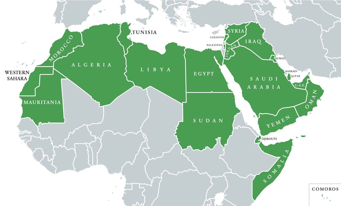 中東・北アフリカ、最も普及が進む：チェイナリシス | CoinDesk JAPAN 