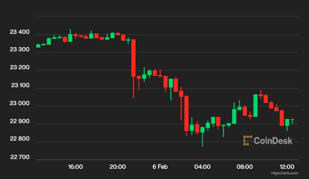 【週末の動き】ビットコイン、2万3000ドル割れで推移