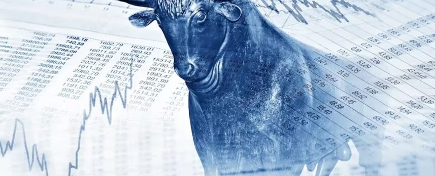 bull and charts