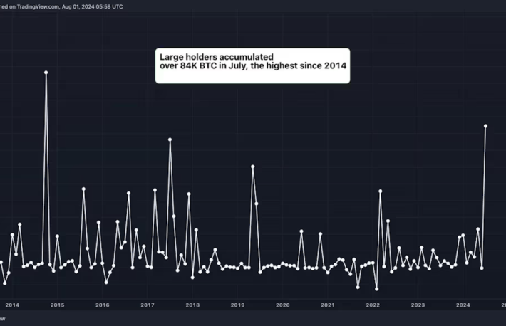 ビットコインクジラ、7月に54億ドル相当のBTCを積み増し