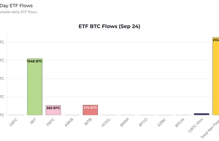 ビットコインETFへの流入量、1日の供給量の約5倍──供給不足の一因に