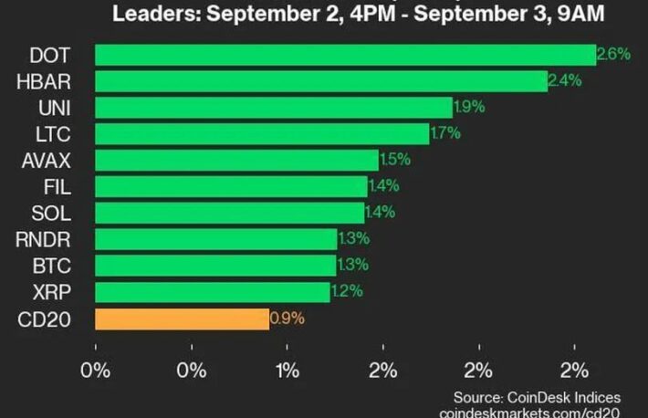 ポルカドットとヘデラがリード、CD20は0.9％上昇：CoinDesk 20 パフォーマンスアップデート