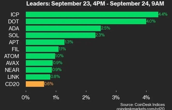 インターネットコンピューターが4.4％上昇、CD20をリード：CoinDesk 20 パフォーマンスアップデート