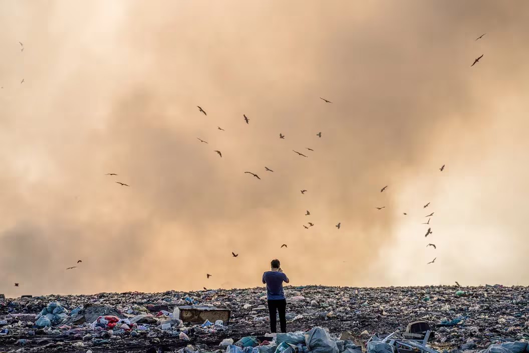 A man who accidentally sent 7 million worth of Bitcoin to a garbage dump sues local council for recovery: Report | CoinDesk JAPAN